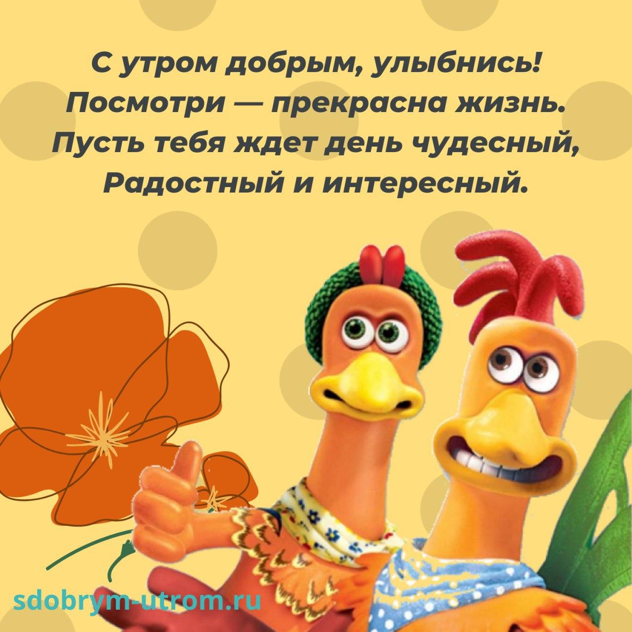 Смешная открытка с курицами