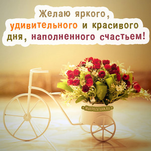 Картинки доброго дня красивые с добрым утром с велосипедом и цветами