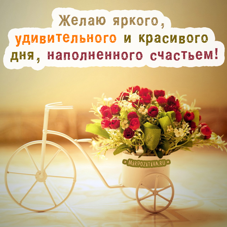с велосипедом и цветами
