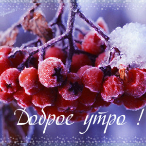 Картинки По временам года зимним с добрым утром Красивые картинки Доброе зимнее утро! • Прикольные ...