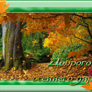 Картинки По временам года осенним с добрым утром Доброго Осеннего Утра Доброе утро открытки для поздравления